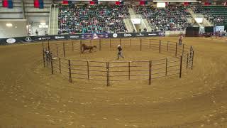 Clinton Anderson: Williamston, NC Walkabout Tour - Downunder Horsemanship