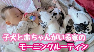 【モーニングルーティン】子犬と赤ちゃんのいる家族の朝#ダルメシアン#子犬と赤ちゃん#モーニングルーティン