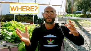 WHERE TO BUY AQUAPONICS COMPONENTS?