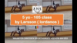 201118  5yo by Larsson  (Lordanos)  105 class