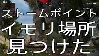 ストームポイントイモリ場所　　　イモリ場所4