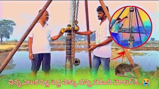 చిన్న ఎలుక వల్ల పెద్ద చిక్కు వచ్చి పడింది మోటర్ కి..😭