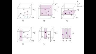 CcpNmr AnalysisAssign V3 - Visualising 3D Spectra