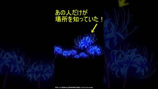 【鬼滅の刃】意外と知らない雑学