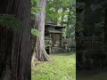 田舎の風景【和歌山県那智勝浦町　色川神社】a shrine covered with moss irokawa shrine in wakayama prefecture shorts