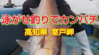 2019/05/31泳がせ動画まとめ室戸沖カンパチ