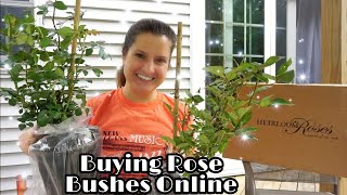 Heirloom Rose Haul and Unboxing! I'M ADDICTED TO BUYING ROSES!!