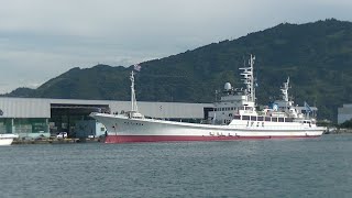 ７月１０日　第５１日光丸の入港接岸（The 51st Nikko Maru arrives at port.）