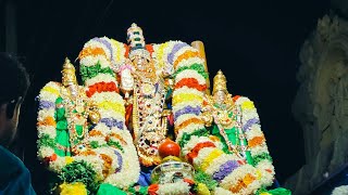 💥Tirupati Venkateswara 💥 swargvasal 💥Vaikundam ekadashi 💥 Tirupattur #livetv  #shots