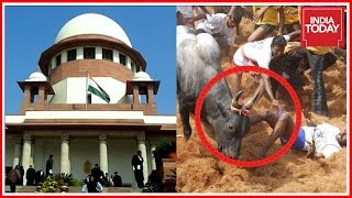 Jallikattu Held In Tamil Nadu Despite Supreme Court Ban