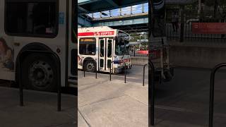 SEPTA 2008 new flyer DE40LF #8174 on route 88.