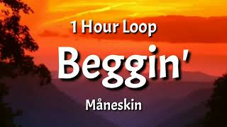 Måneskin - Beggin' (1 Hour Loop) "I'm beggin', beggin' you" [TikTok Song]
