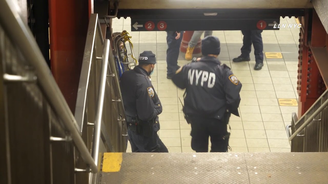 Female Struck Dead After Falling Between Subway Trains | MANHATTAN, NY ...