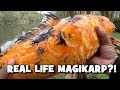 REAL LIFE MAGIKARP?! Sight Fishing for KOI! (Delaware County, PA)