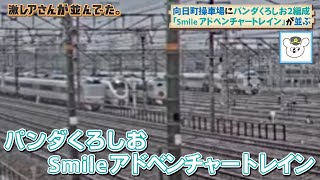 【向日町ライブカメラ】287系 パンダくろしおが並ぶ（2021/08/17）