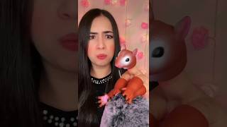 Asmr - Cuidando do esquilo