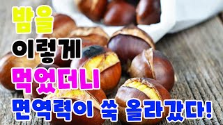 밤을 이렇게 먹었더니 면역력이 쑥 올라갔다!(더 건강하게 먹는 방법과 밤의 효능 포함)