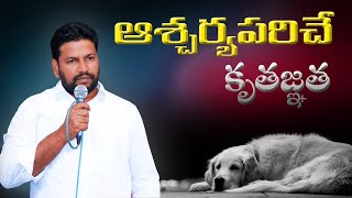 shalem raju anna new message