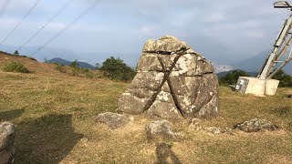 針山丶草山丶城門水塘/樂行山林/香港行山好去處