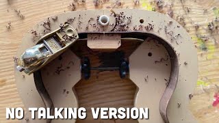 Guitar Build / SHORT VERSION part 1 /making the sides