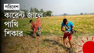 পাখি ধরা হয় খাওয়া ও বিক্রির জন্য | Bird Catching