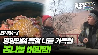 [#나는자연인이다] [494-3] 영양만점 봄철 나물과 노른자가 들어간 비빔밥!