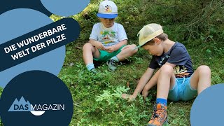 Die wunderbare Welt der Pilze