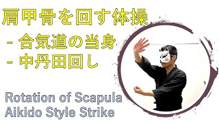 【合気道】中丹田を活性化する当身　太極図を描く肩甲骨
