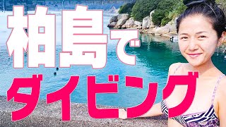 【絶景の海】柏島でダイビング！イルカに遭遇！！！