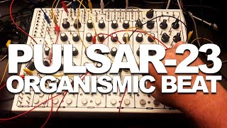 SOMA PULSAR-23 FIRST ORGANISMIC BEAT