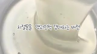 치젤몬을 액괴인척 경매 버전 실시간 | 냄삐님 영상