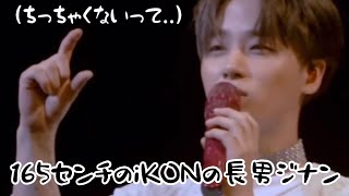 ワタシより日本語うまいiKONの長男 [iKON/ジナン/日本語字幕]