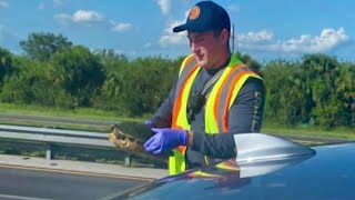 Turtle crashes into car on Florida Turnpike