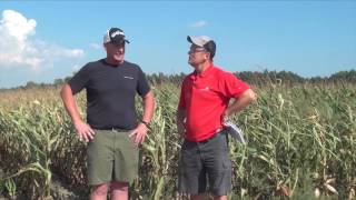 Corn School -  Sub Surface Drip Irrigation