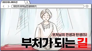 부처가 되는 길(부처님의 전생과 탄생) [자타카:부처님의 전생이야기] #BBS애니메이션