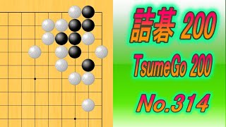 314.詰碁200 (TsumeGo 200) Black to play