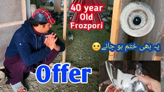 Saqi bhai ka 40 sala nayaab frozpoori Breed ka kabotar b giya | Nayaab breed by @pigeonsCorner