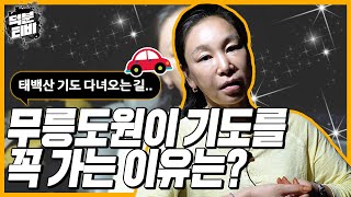 무릉도원이 기도를 꼭 가야 하는 이유는?🙏태백산 기도 다녀오는 길 진솔한 차 안 인터뷰│신도들을 위해 아무리 힘들어도 기도를 멈추지 않는 무릉도원