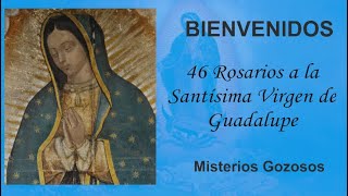 46 Rosarios a la Santísima Virgen de Guadalupe, Misterios Gozosos lunes 11 de noviembre 2024.