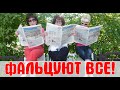 ФАЛЬЦУЮТ ВСЕ! Где работают на самом деле наши (не)актёры 