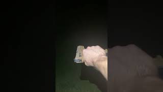 Sig Sauer M17 Pellet Pistol Shots Fired #viral