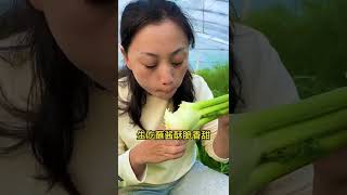 83 大秧农场 球茎茴香脆香甜，种几颗过年包饺子！#球茎茴香  @快手创作者中心O3xrgtux2ehryffe