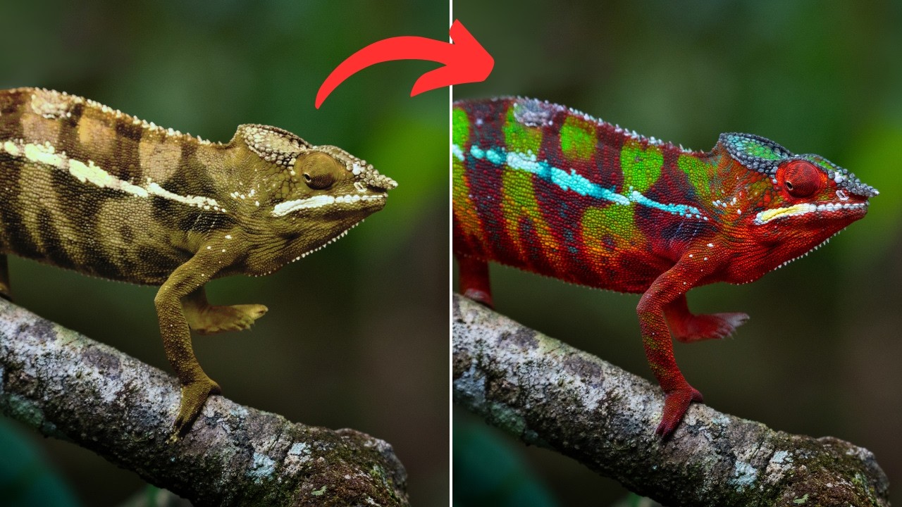 How Do Chameleons Change Color An Easy Explanation Youtube