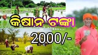 Pm kisan yojana || ପ୍ରଧାନମନ୍ତ୍ରୀ କିଷାନ ଯୋଜନା || 2000/- ଟଙ୍କା || Odisha.