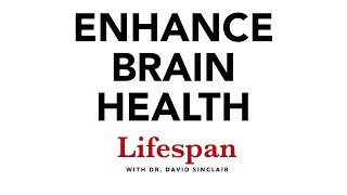 The Science of Keeping the Brain Healthy | Lifespan with Dr. David Sinclair #7