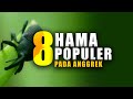 8 HAMA PERUSAK BUNGA ANGGREK | NO 8 PALING GANASS!!!