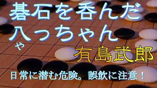 朗読『碁石を呑んだ八っちゃん』有島武郎　（サラヨウコ朗読）