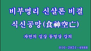 114 식신공망食神空亡, 비부명리 신살론