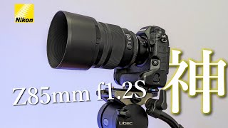 過去一で好きな描写性能│ Nikon Z 85mm f1.2 S レビュー