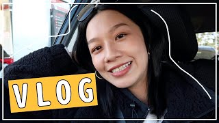 (中文) US VLOG: Christmas tree shopping! 